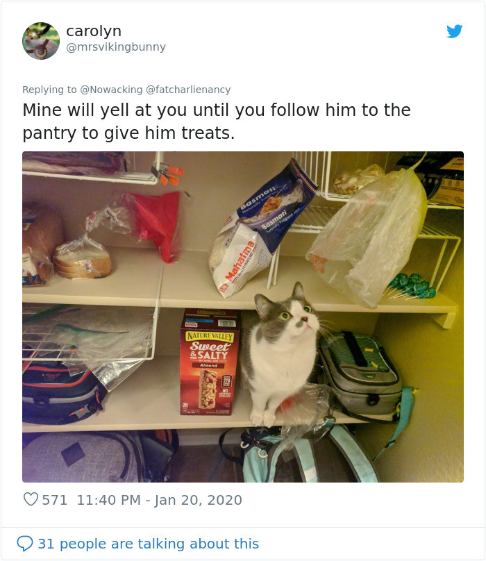 Know your place, human slave.