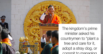 Bhutan’s Prime Minister Asked People to Adopt Stray Dogs or Plant Trees as a Birthday Gift for Their King