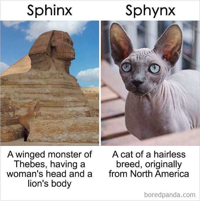 doxygen vs sphinx