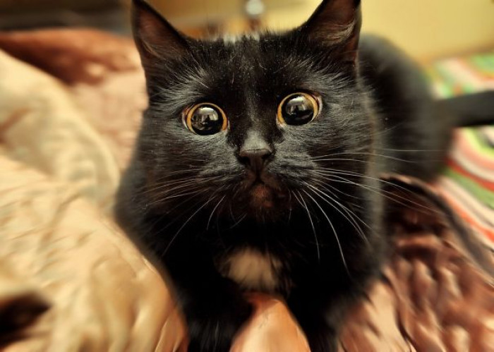 16. "But...you said...you said!"