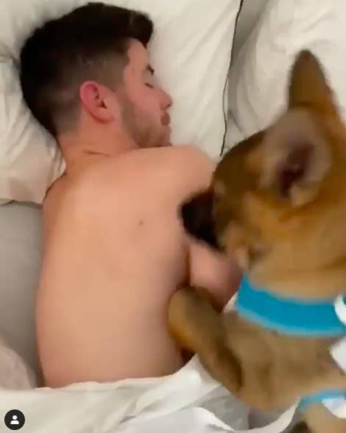 Wake up, wake up, wake up! 🐶