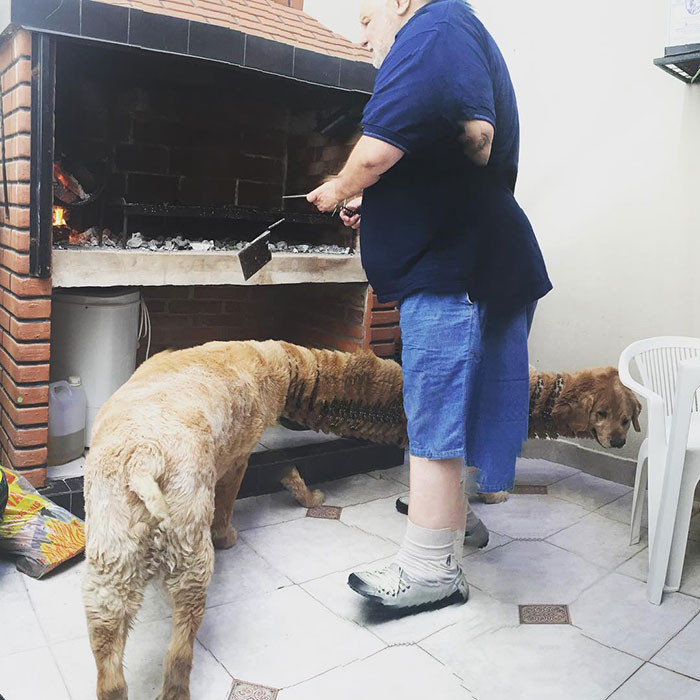 Oh, this is terrifying.