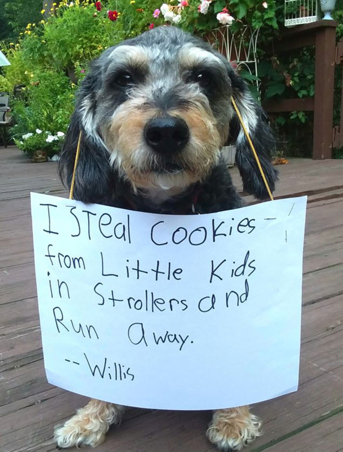 35. "What You Snackin’ On, Willis?"