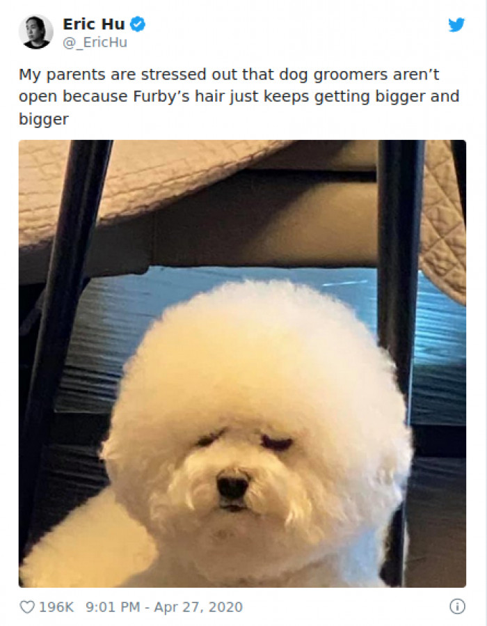 11. He was not named after the '90s toy.