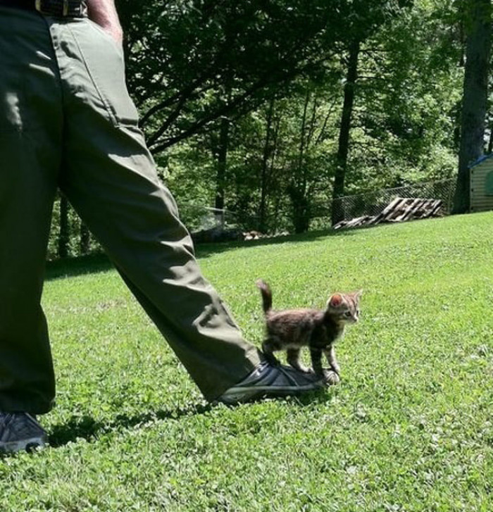 11. "First Time She Went Outside. The Grass Is Lava."