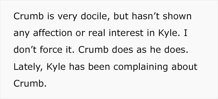 And he had started complaining about the cat