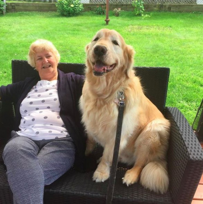 Cheddar excitedly greets his elderly friend, tail wagging and affectionate