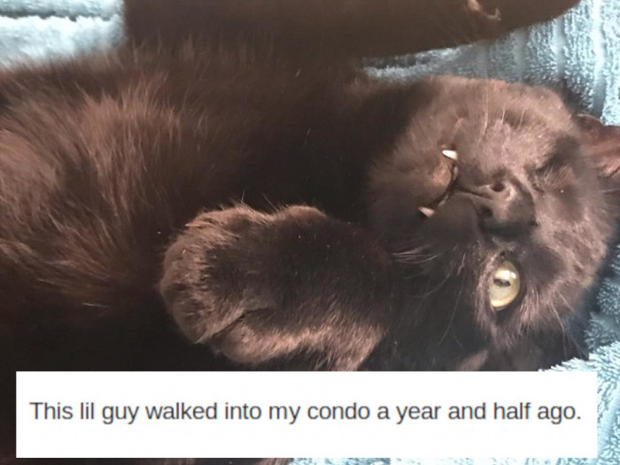 24. Totally adorable.