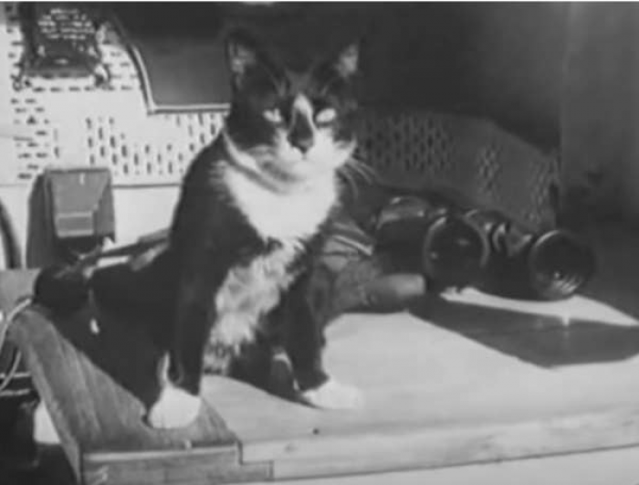 17. Lastly, meet Simon, who helped the British Navy.