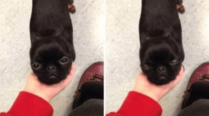 The effect we have on them