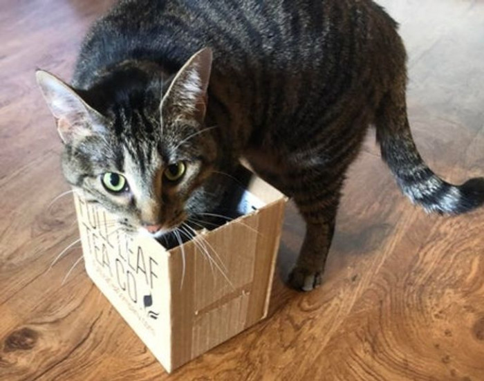 5. “Are you trying to tell me that I don’t fit?!"