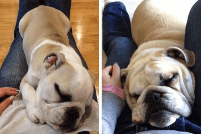 Still has the same favorite place to be