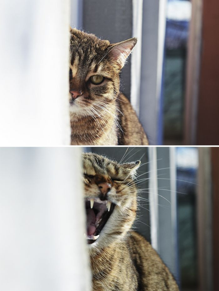 11. Just let me take a nap; this is torture.