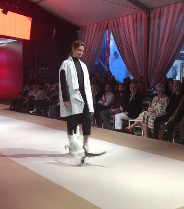 Kung-Fu style feline on runway, models nearby, playful purr-fect chaos