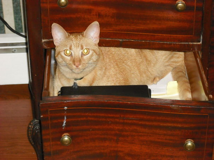 #78 What Do You Mean You Have To Close The Drawer?