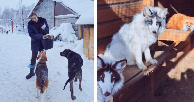 Renowned Russian Wedding Photographer Quits Job to Care for 200 Rescued Animals