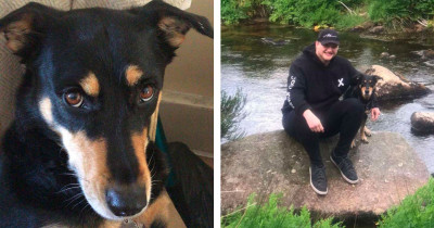 Silly Dog Refused To Get Out Of A Fountain, So His Human Stripped Down To His Underwear To Get The Dog Out