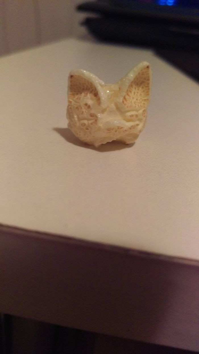 "This Popcorn Looks Like a Cat"