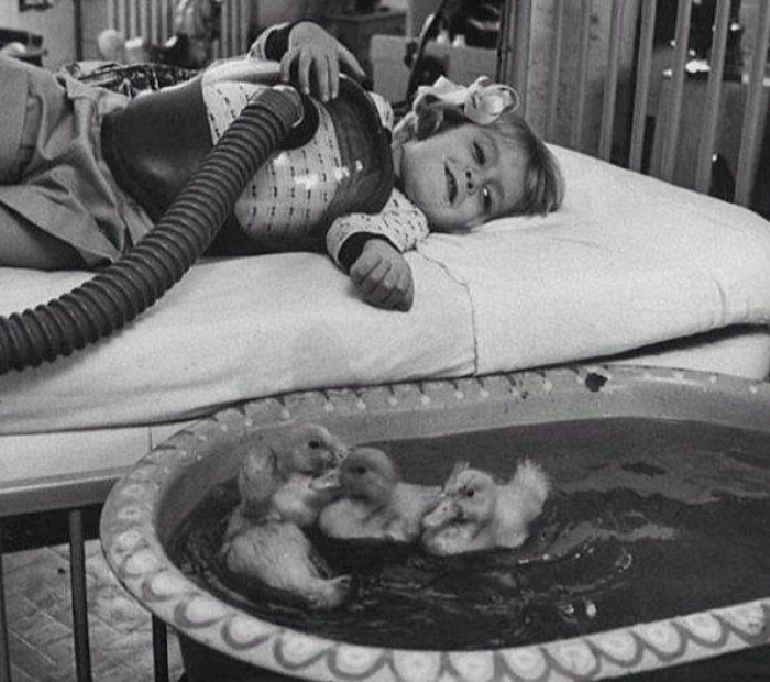 20. Ducklings As A Medical Therapy For Kids In 1956