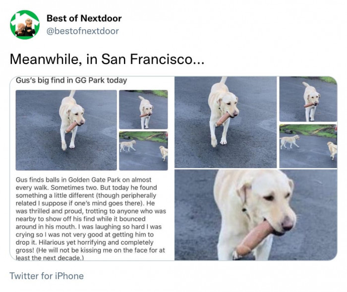 5. He proudly showed everyone nearby what he had found.