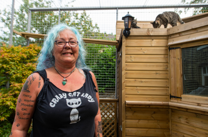 Close view of a crowded cat enclosure, neighbours concerned about space