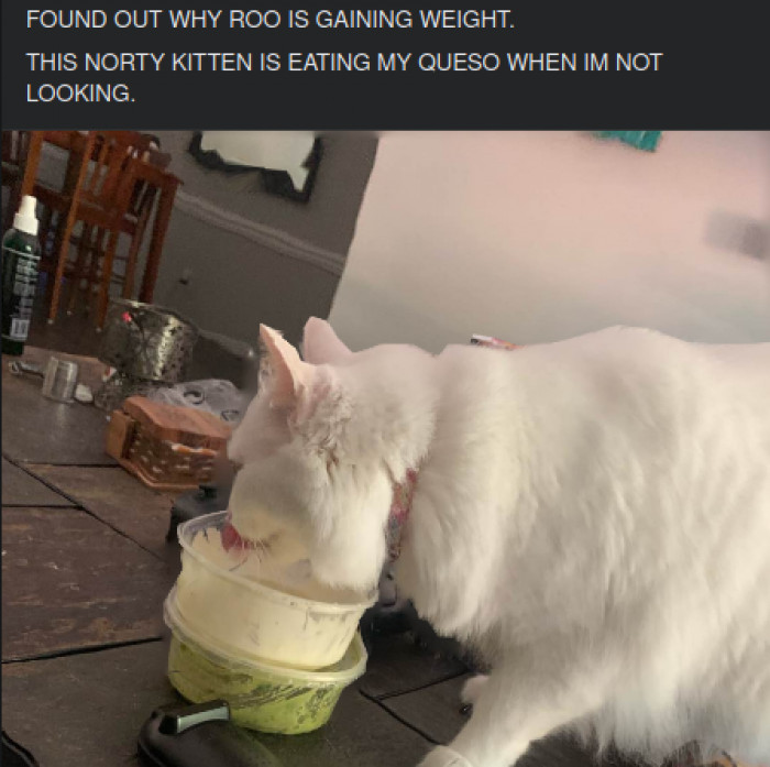 3. Just in queso you needed some assistance.
