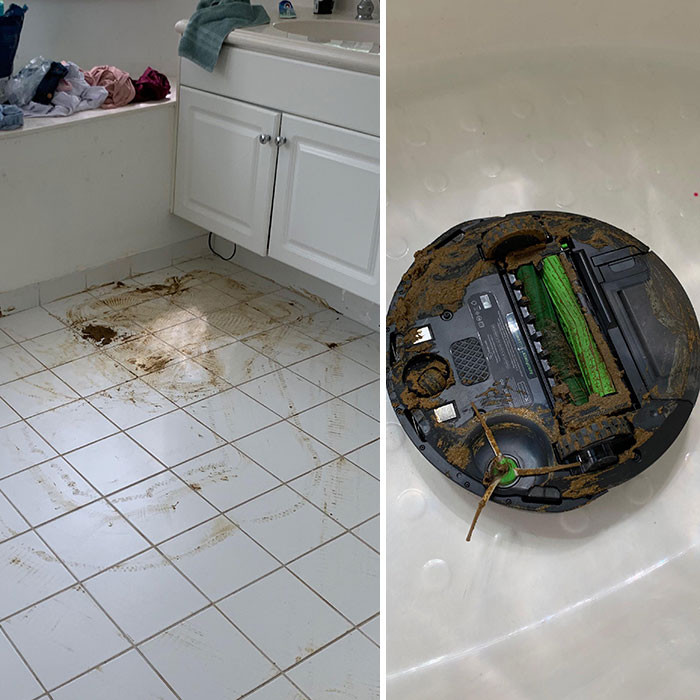 The Roomba tried to clean up doggy doo then proceeded to try and clean up the house again.