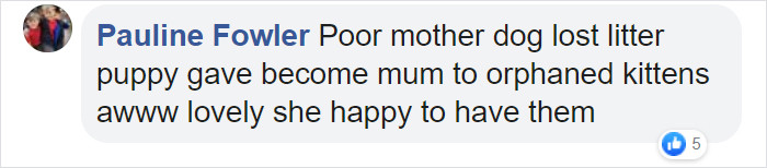 Check out what people have to say about this amazing story that is nothing less than a miracle in itself.