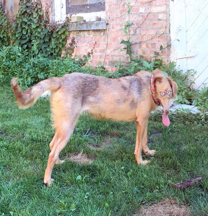 It looks fine until you see the face.