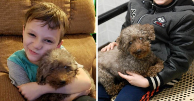 This Generous Boy Picked A Dog From The Rescue Shelter And His Choice Was Perfect