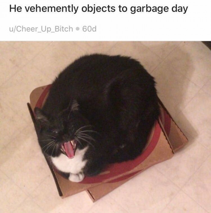 6. "Don't you dare talk to me or my trash ever again."