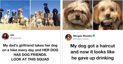 If You Happen To Be a Proud Dog Owner, Then You Will Absolutely Love These Dog Tweets