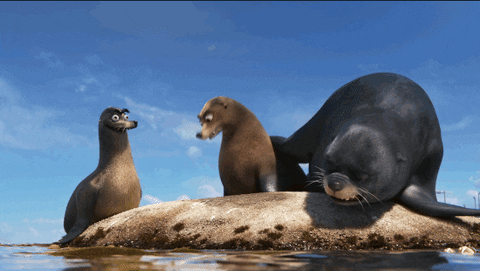 Two large sea lions lounging on a boat, looking playful and curious