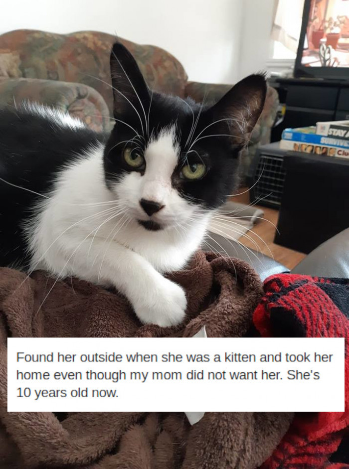 11. Ten years later...