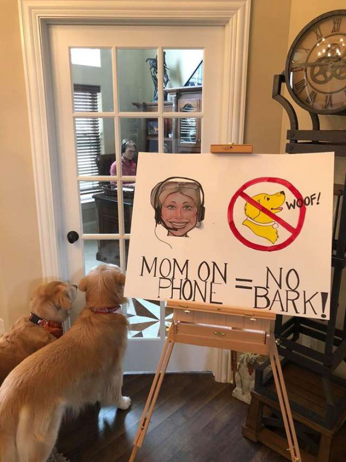 Dogs playfully blocking a doorway while woman points toward new rules