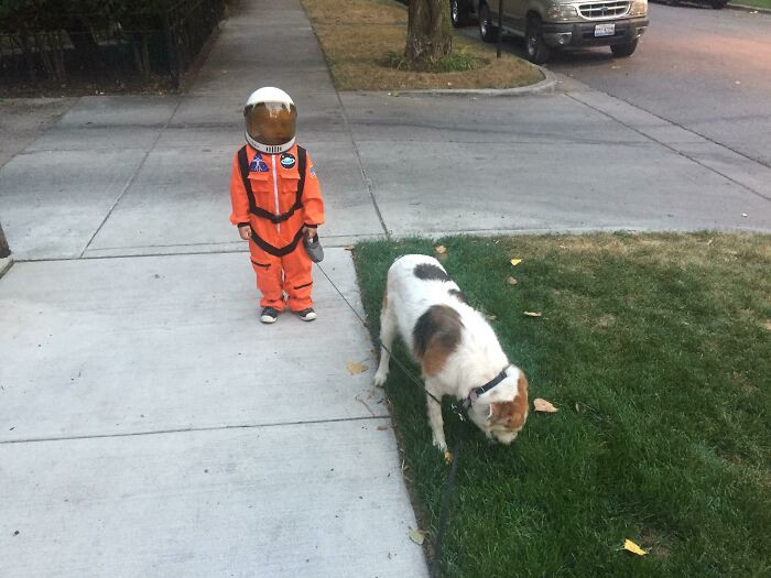 1. Little astronaut