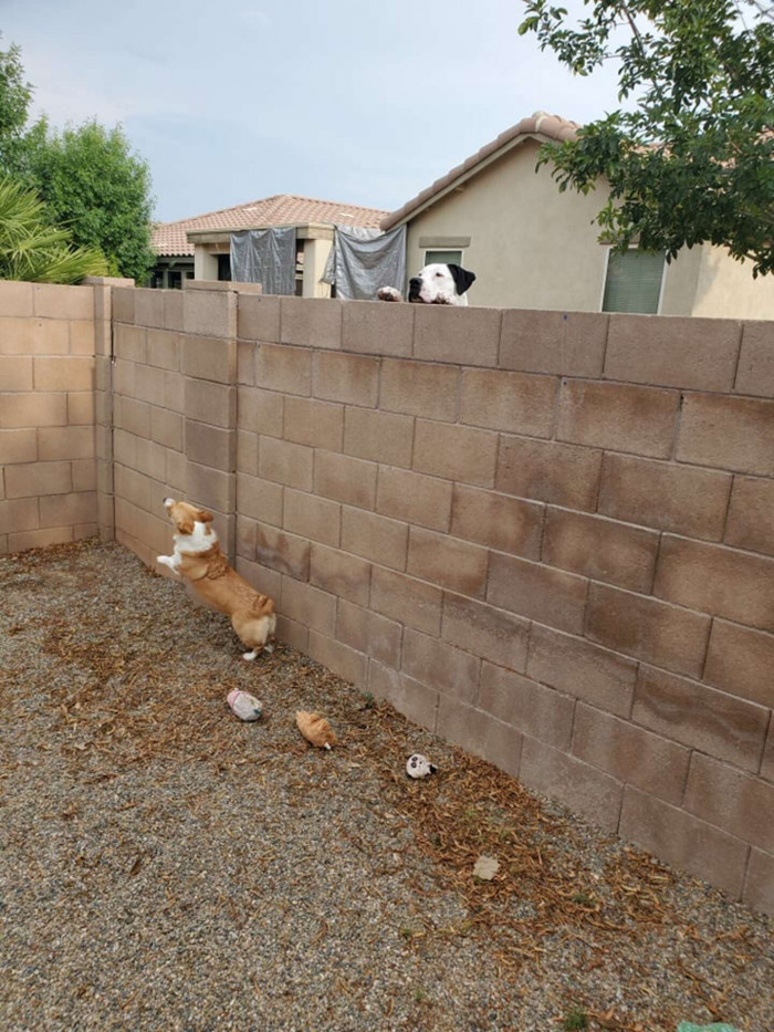 Zola is starting to get overexcited.