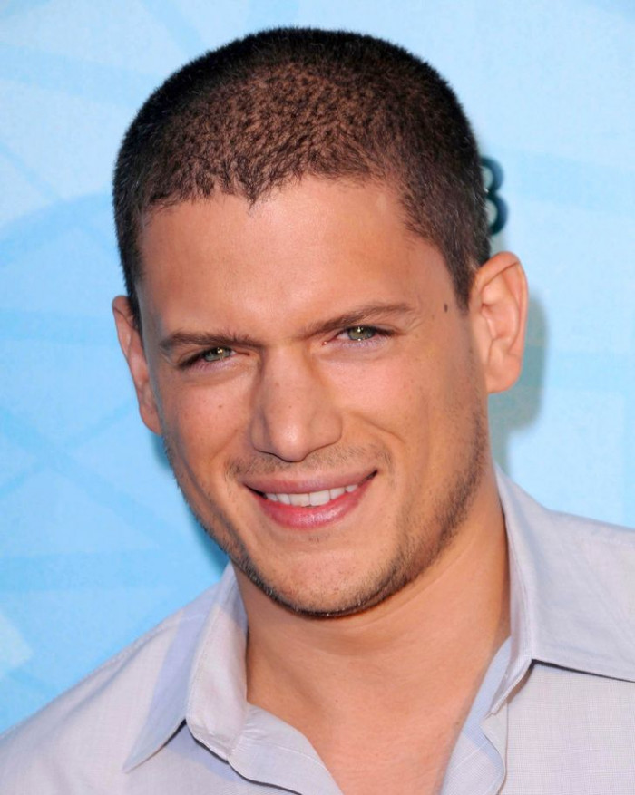 3. Wentworth Miller