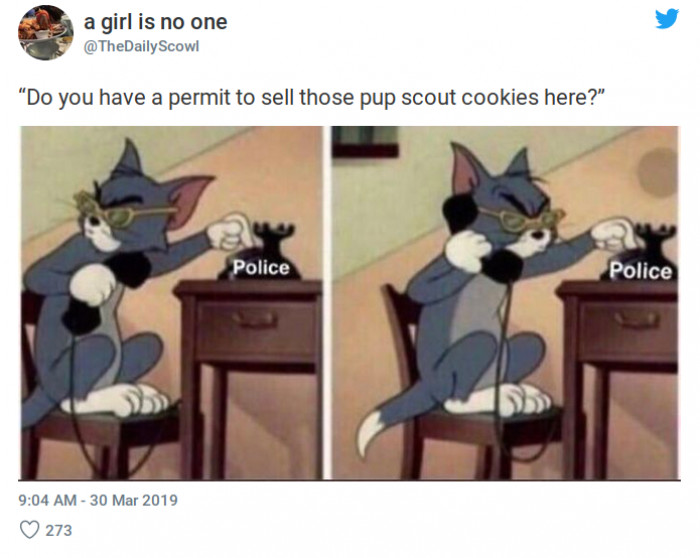 10. In America, your children can get arrested for selling cookies and CDs.