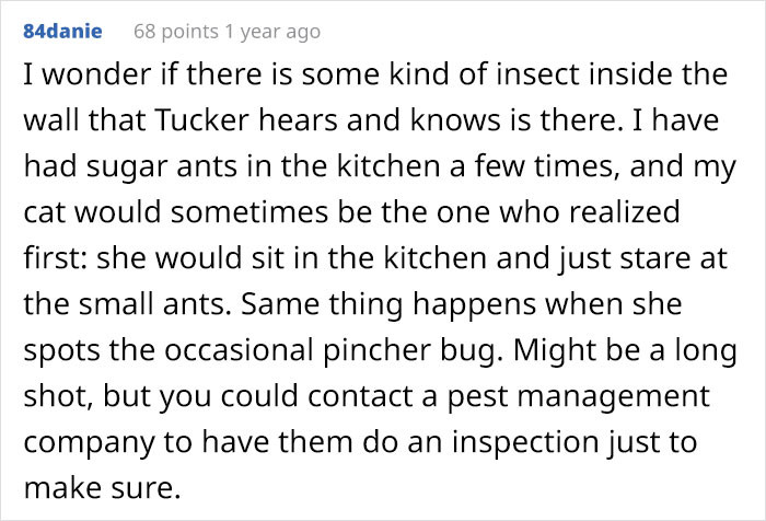 Or insects