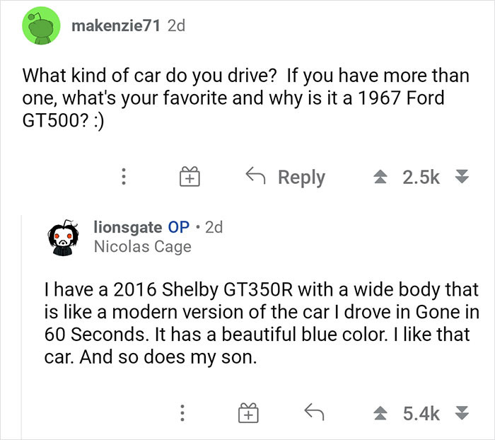 19. What car does Nic drive?