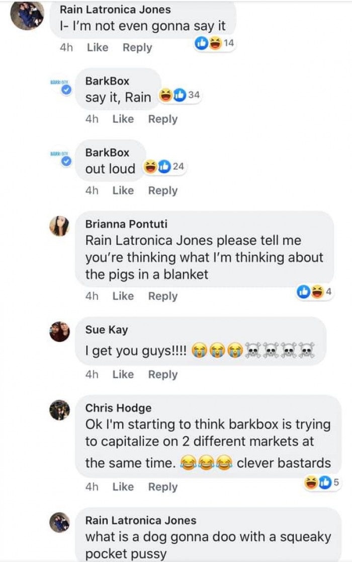 In barkbox blanket pigs a Barkbox accidentally