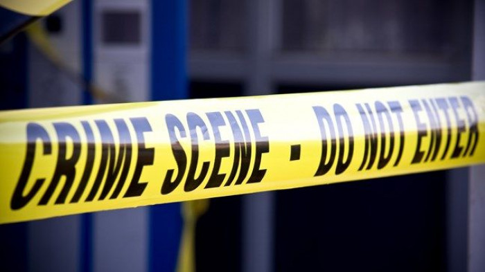 The Purple Hippo Was Brutally Attacked, and It Seemed Hank Was the Culprit!