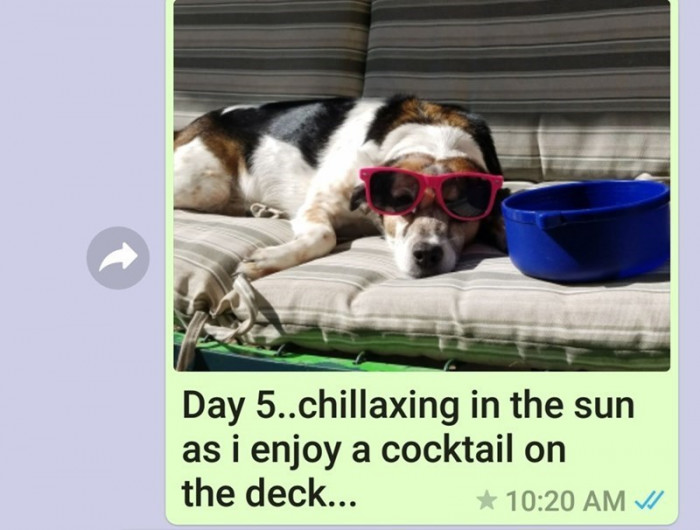 Day 5.