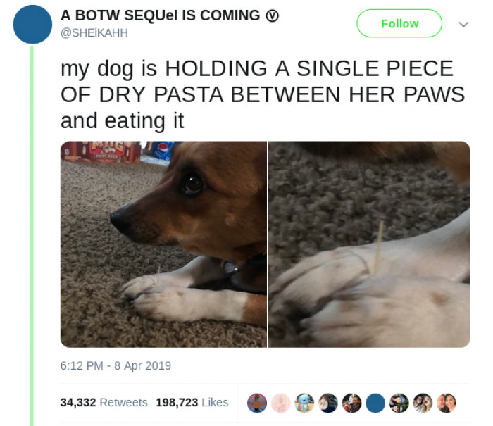 Pretty Pupper Paws