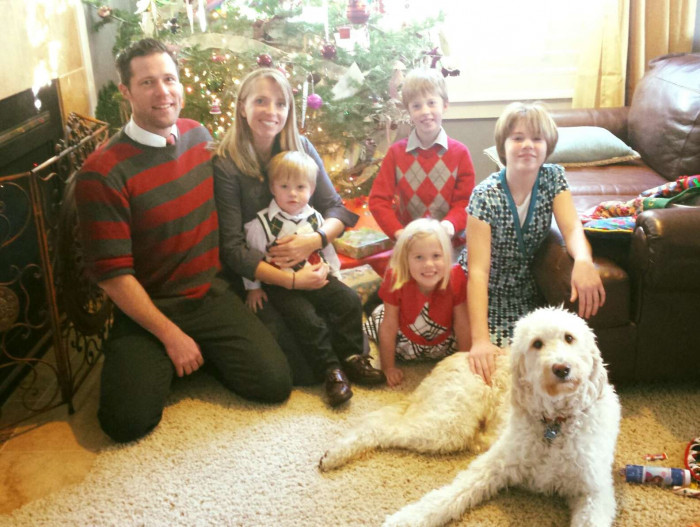 Labradoodle puppy sitting near school entrance, beginning story of detention
