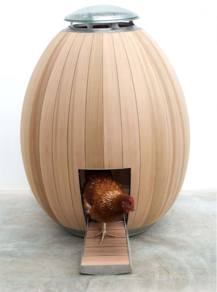 13. Big egg