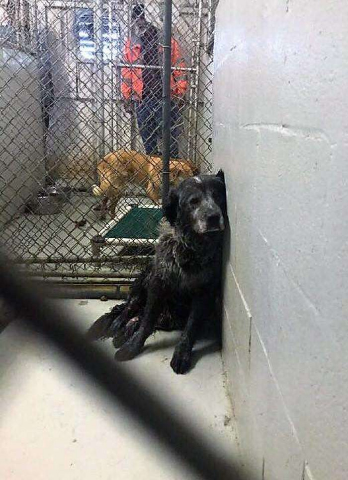 Sanford was taken to a small shelter in Dallas, Texas. He stayed there for a week and received no medical care during that time.