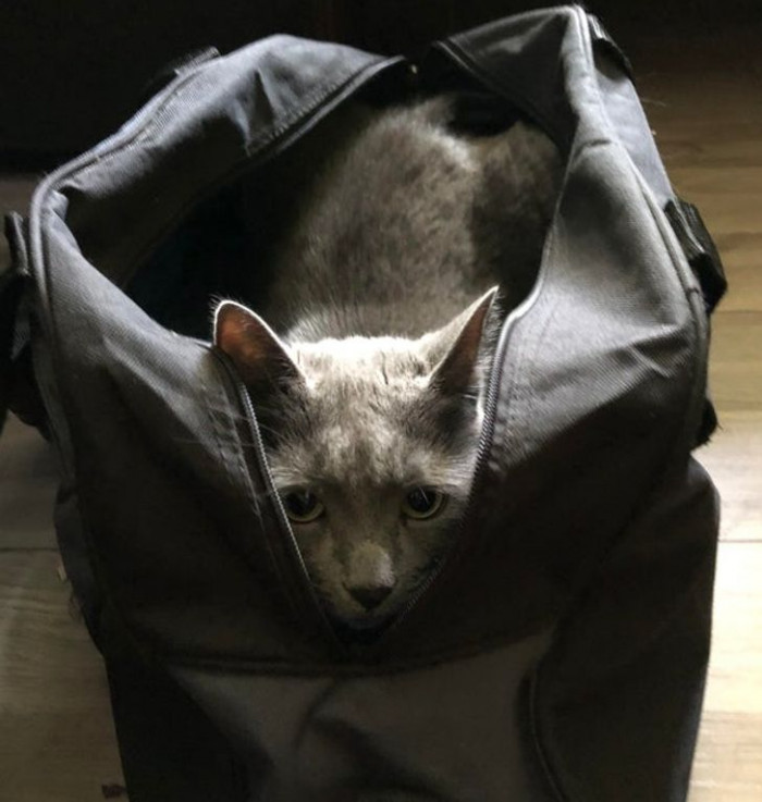 13. "Packing Essentials"