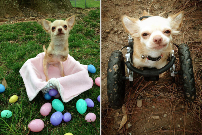 Roo in a Playful Mood